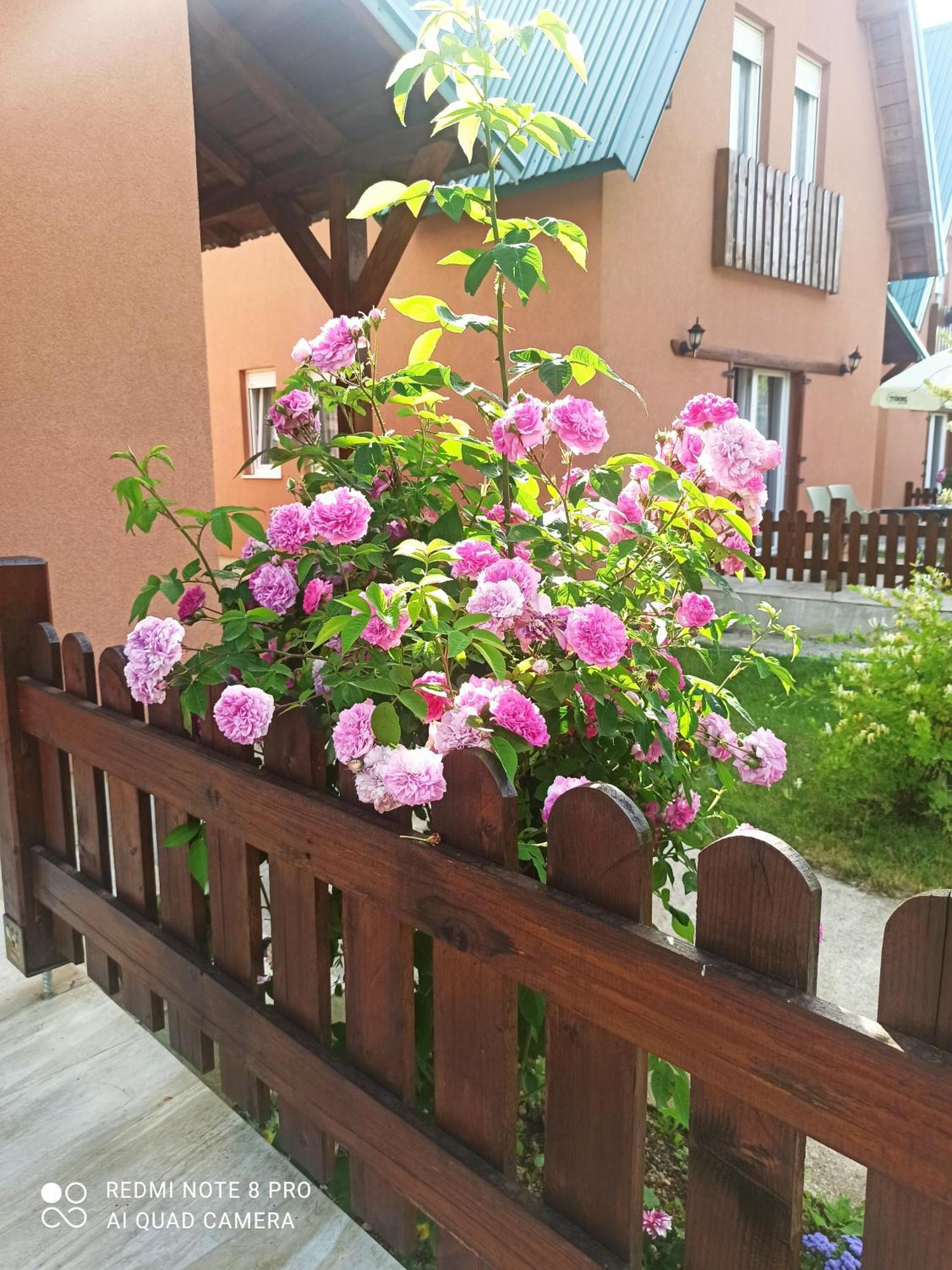 Holiday Home Ivana Kolasin Exterior photo